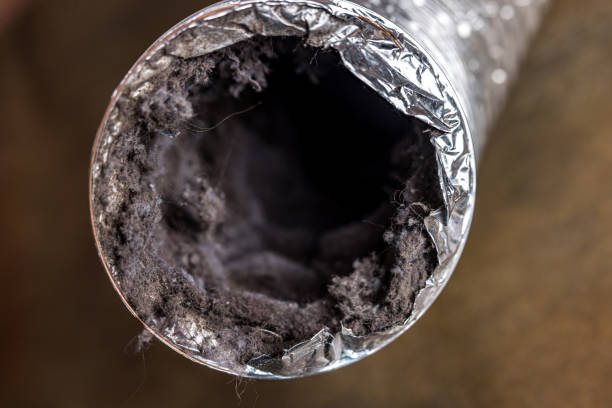 Best Commercial Air Duct Cleaning  in Delavan Lake, WI