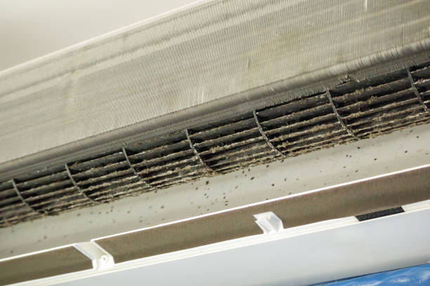 Best Air Duct Cleaning Near Me  in Delavan Lake, WI
